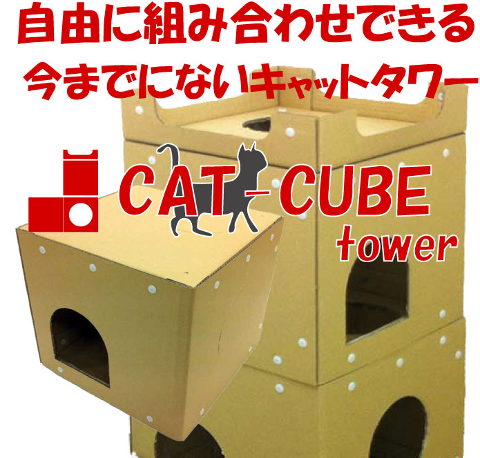 catcube