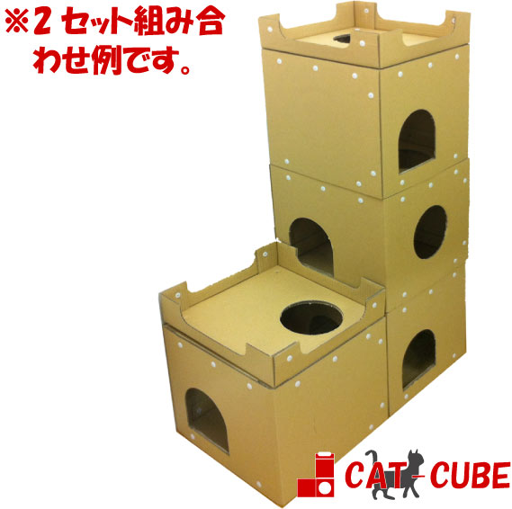 catcube